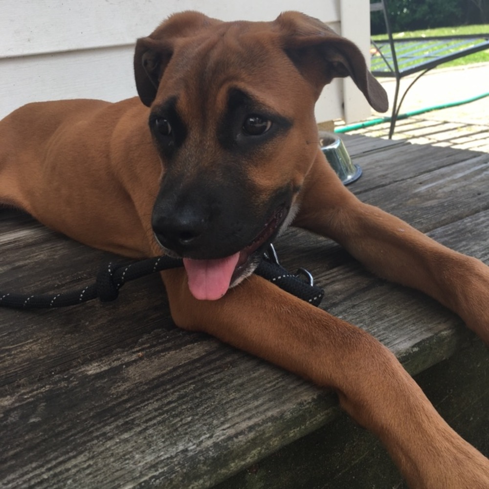 Meet your Posher, Maureen